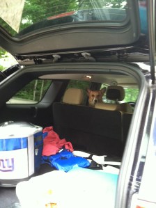 don't forget to bring my snacks!